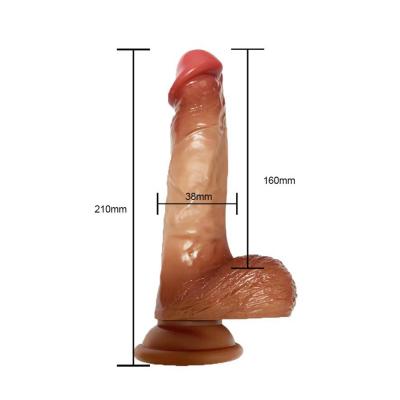 BST-DL2412019