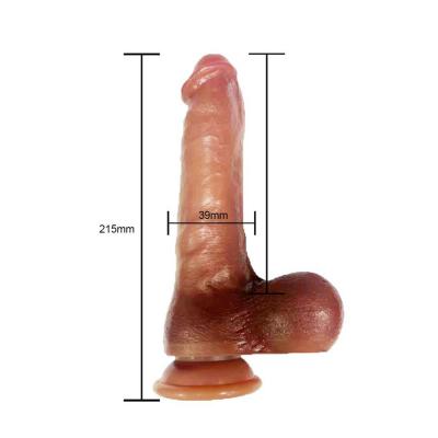 BST-DL2412039