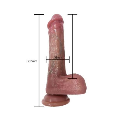 BST-DL2412043