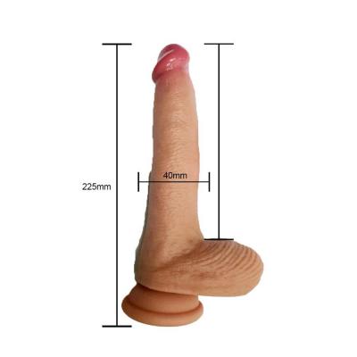 BST-DL2412048