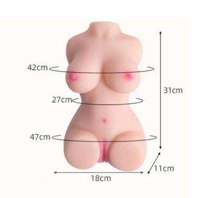 BST-MM2411008