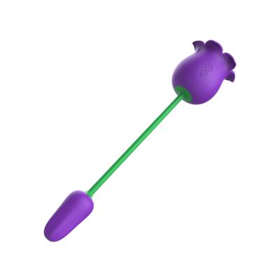 BST-VB2410218