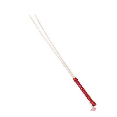 BST-WP2412032